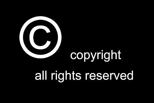 Copyright and Intellectual Property 101 for Museums