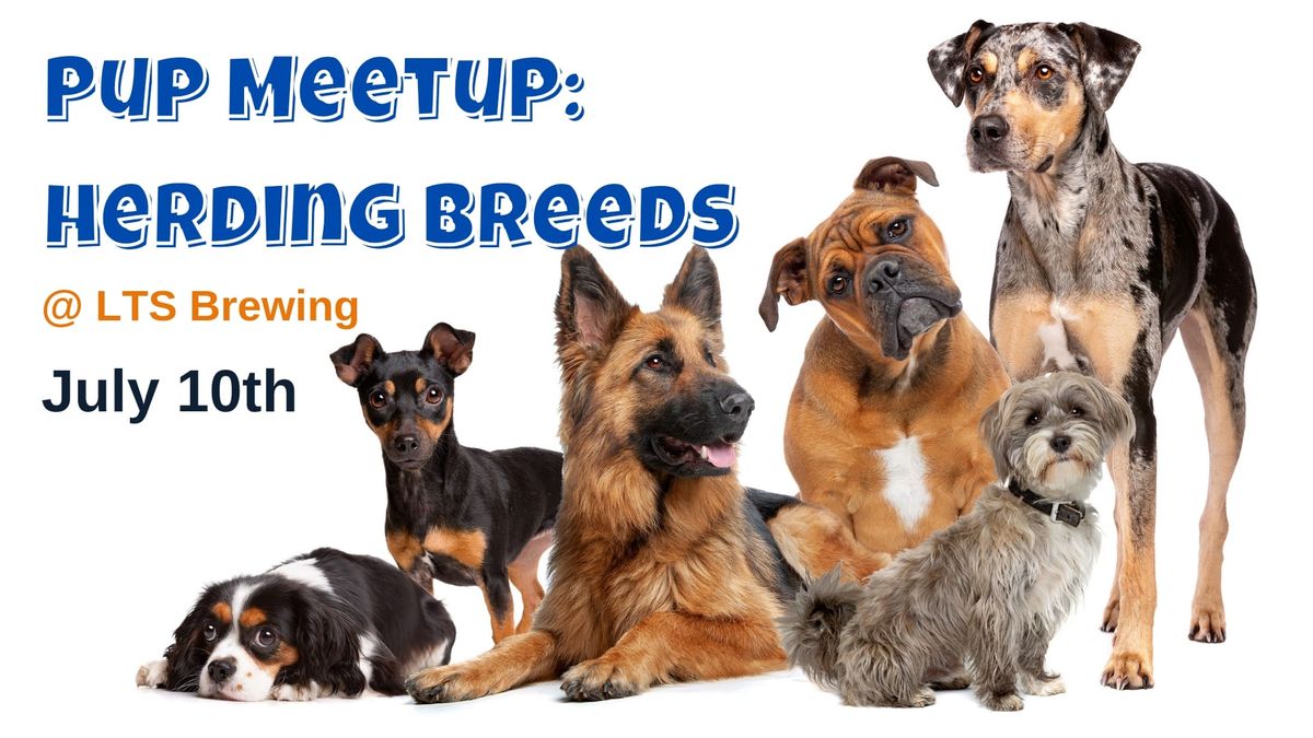 LTS Pup Meetup