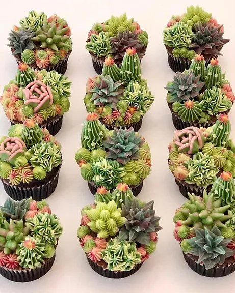 Succulent Cupcake Decorating