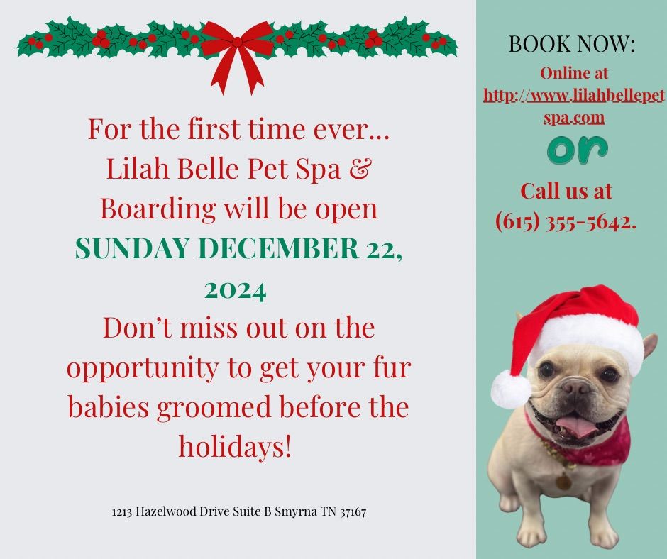 Lilah Belle's Pet Spa Holiday Pampering Session