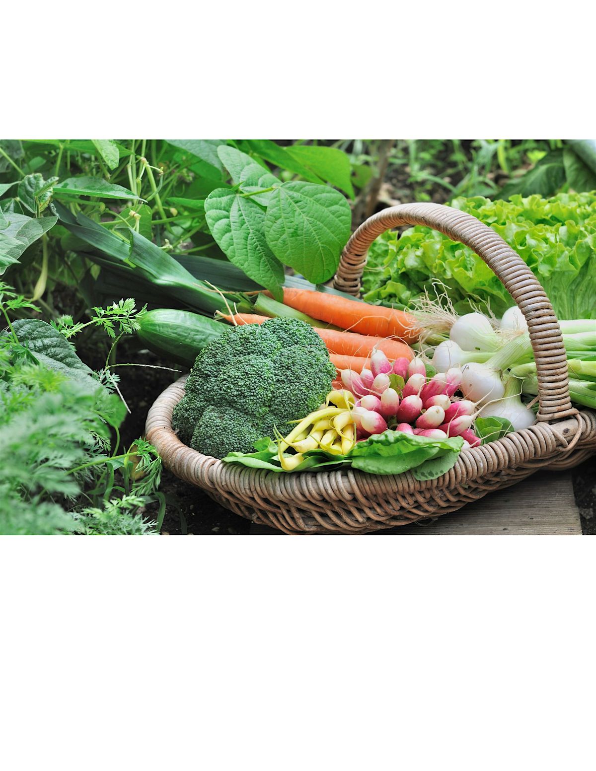 Spring Vegetable Gardening,  In-Person Class