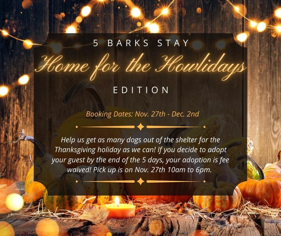 5 Barks Stay Home for the Howlidays Edition Thanksgiving!