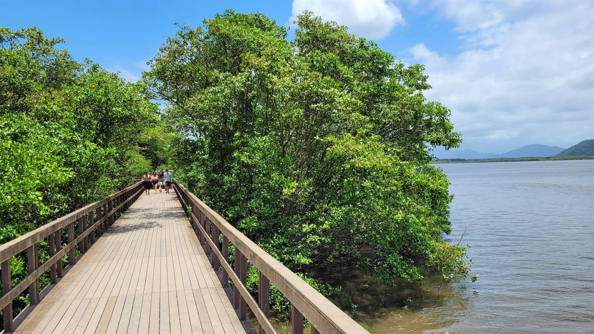 S. FL Arb. and Landscape Webinar Series - 8\/21\/2025 (Mangrove Mgmt.)