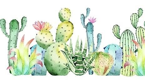 WINE AND WATERCOLOR - CACTUS BOTANICALS