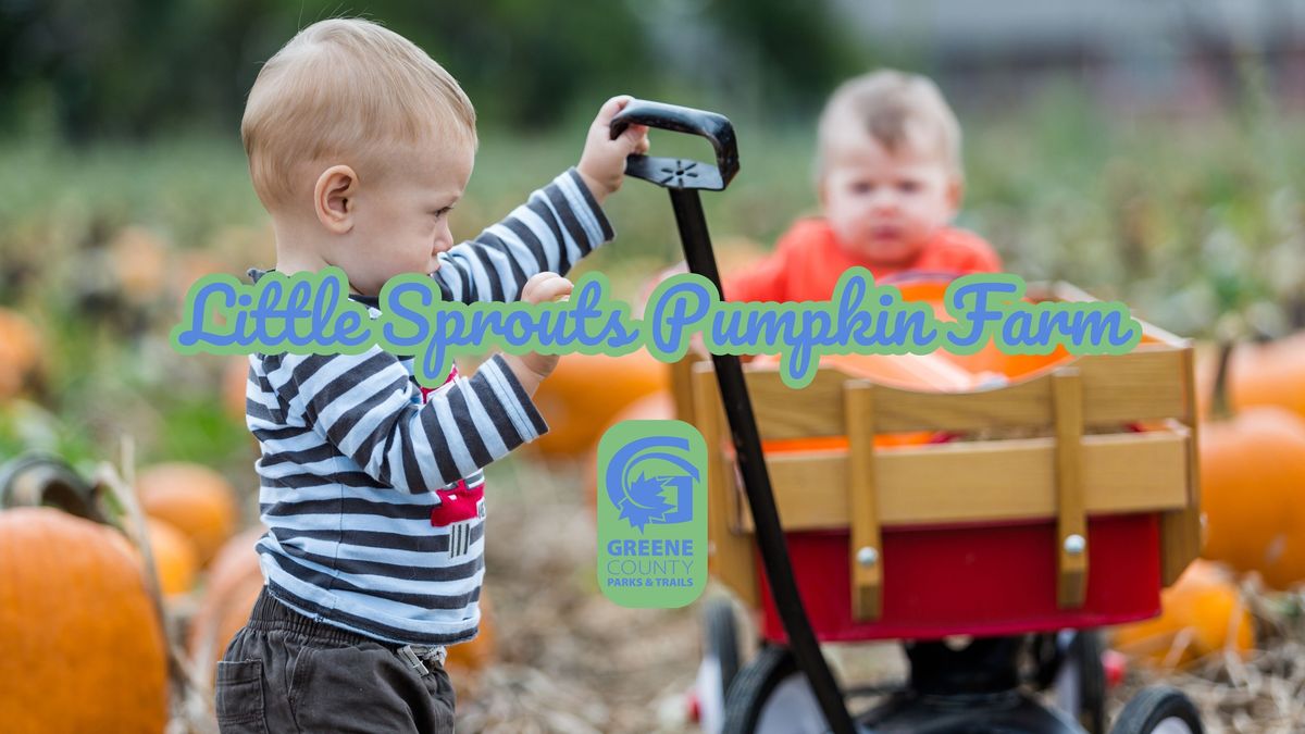 Little Sprouts Pumpkin Farm