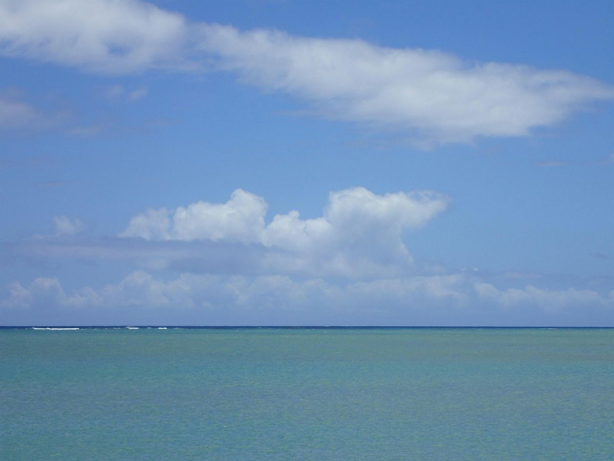 Queers in \u02bb\u0100ina - Waialea Beach Day