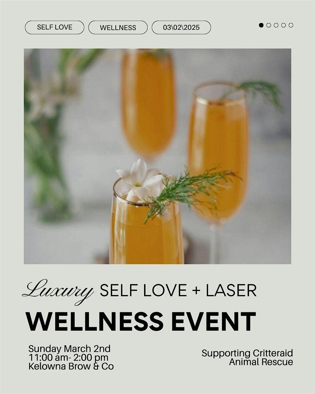 Luxury Self Love + Laser Event