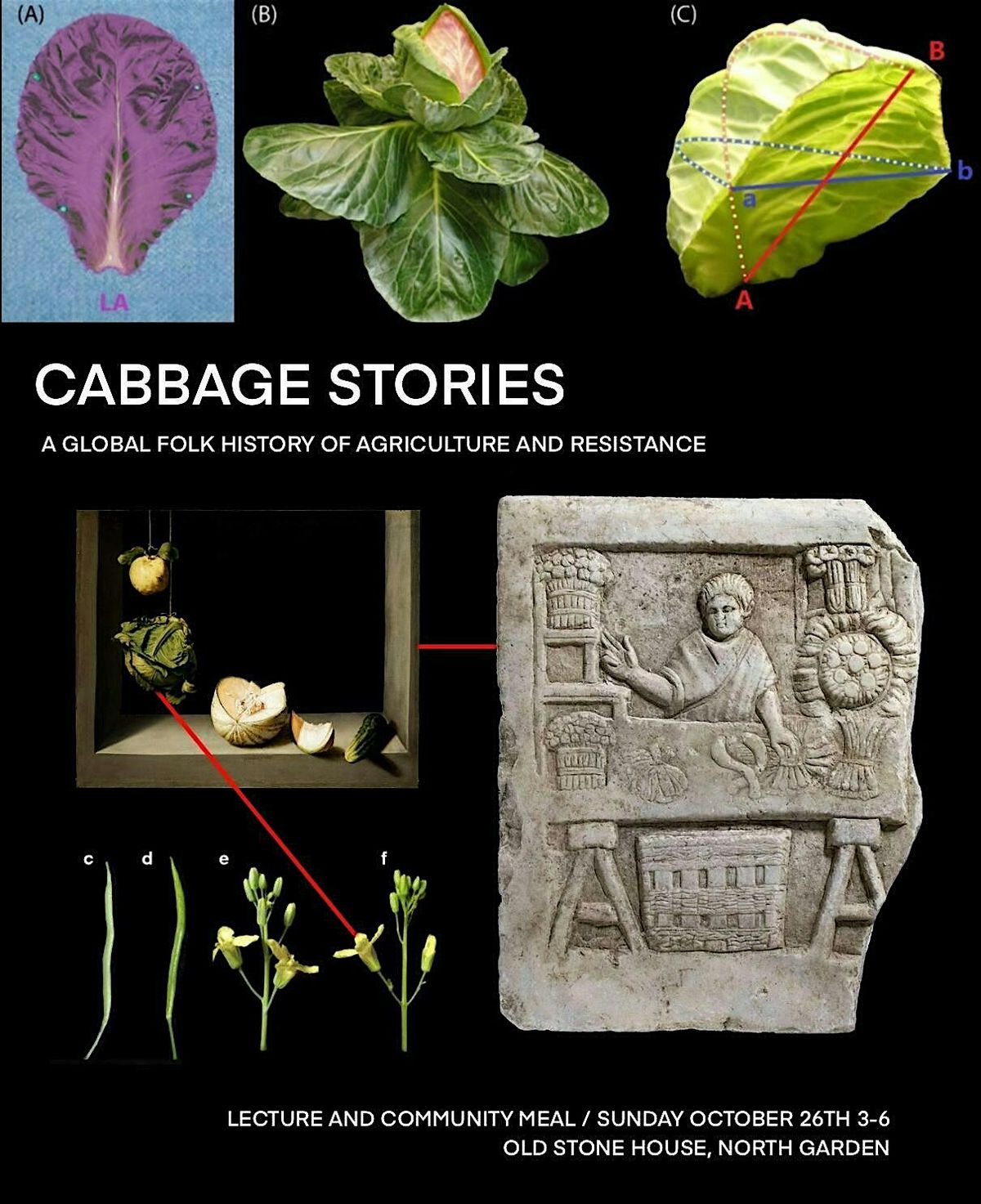 Cabbage Stories: A Global Folk History of Agriculture and Resistance
