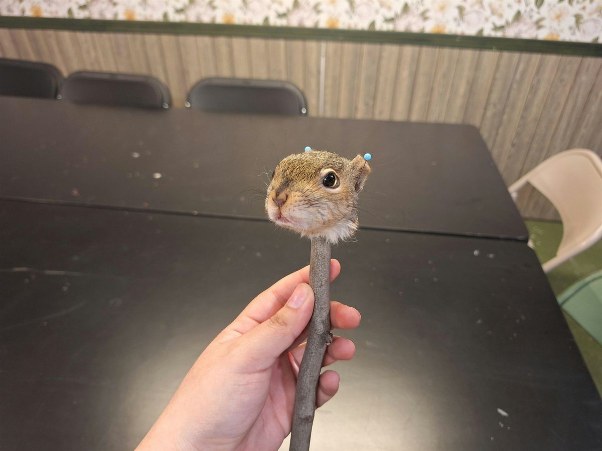 DIY Squirrel Puppet Taxidermy Workshop