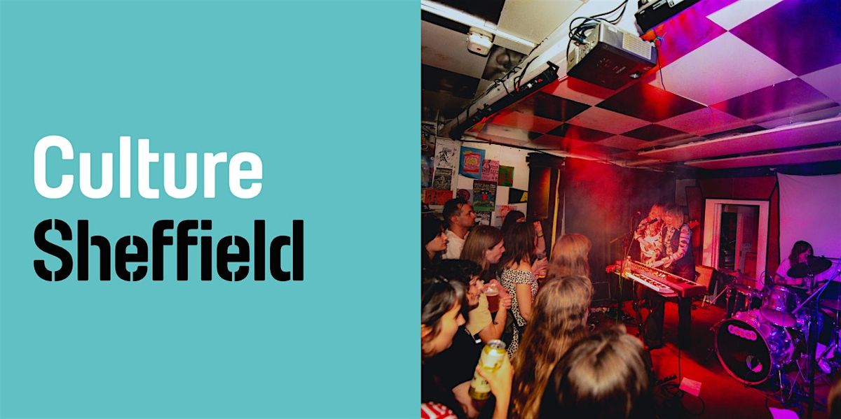 Night Vision: A forum on Sheffield\u2019s late-night Culture