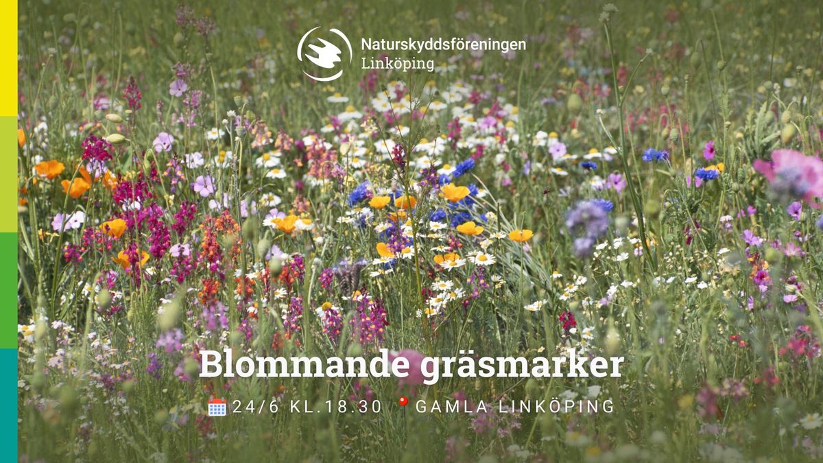 Naturaktivitet: Blommande gr\u00e4smarker