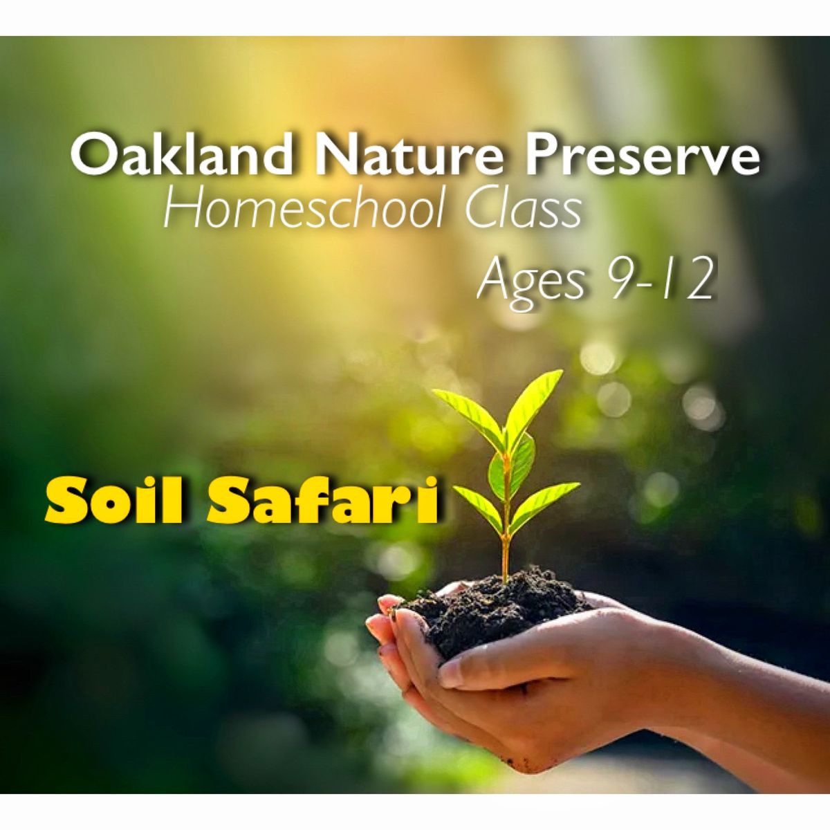 Soil safari-(ages 9-12)