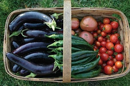 Vegetable Gardening - Saturday session