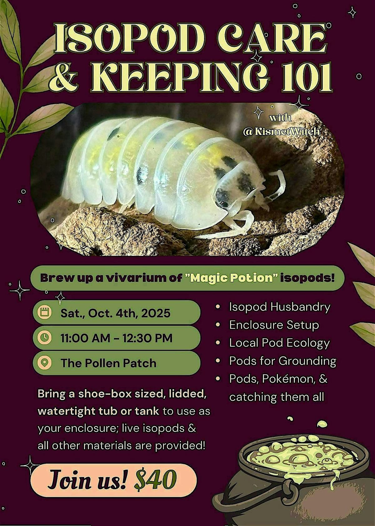Isopod Care & Keeping 101