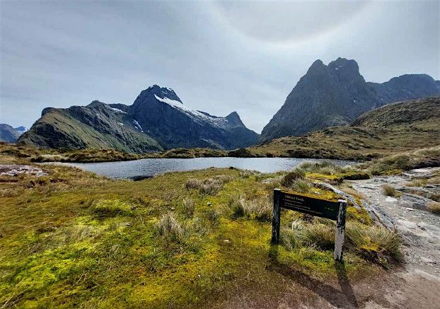 Treasury Presentation - Launch of the Investment Statement: IN-PERSON