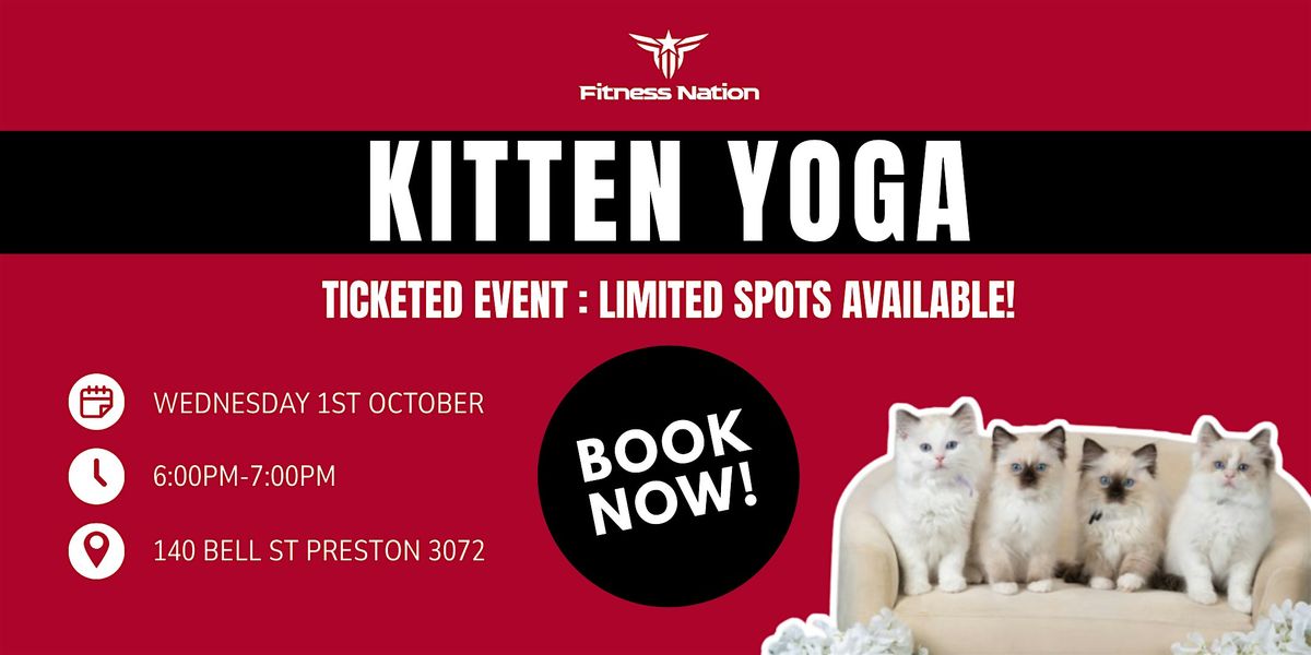 Kitten Yoga Event