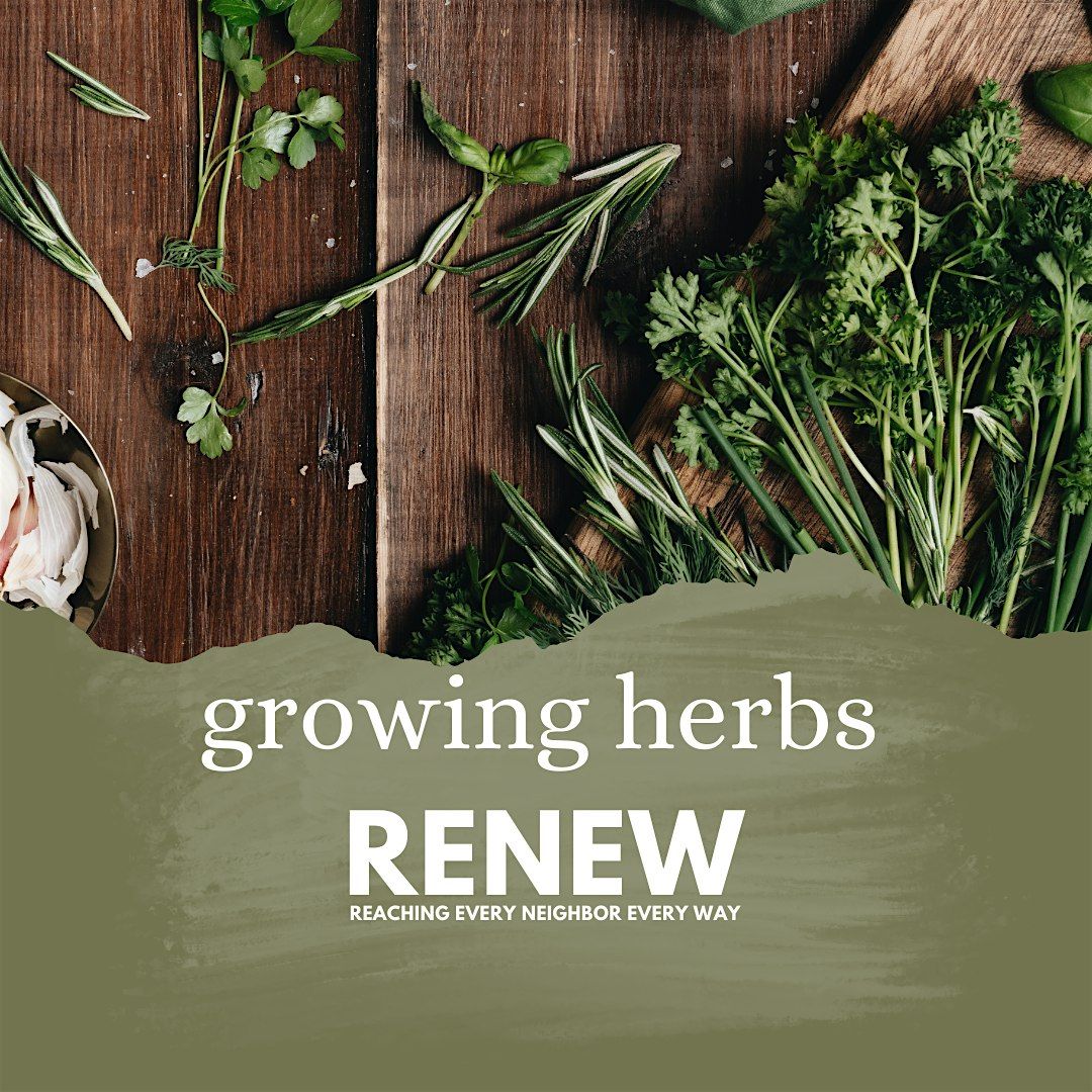 RENEW: Growing Herbs