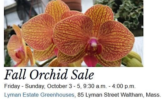 Fall Orchid Sale