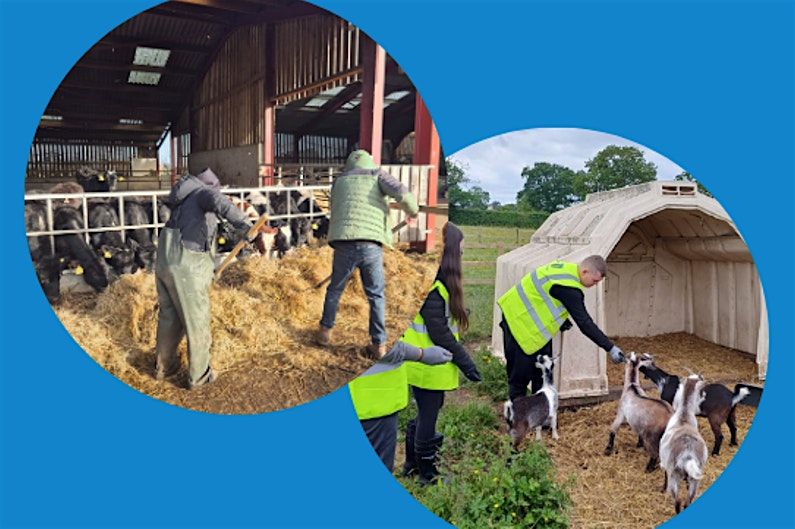 Ffermio Ymlaen Sir Ddinbych! \/ Denbighshire Farm Forward!