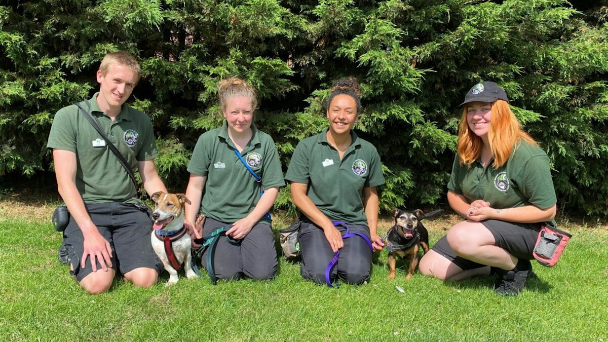 Take a Tour of Cheltenham Animal Shelter in 2025!