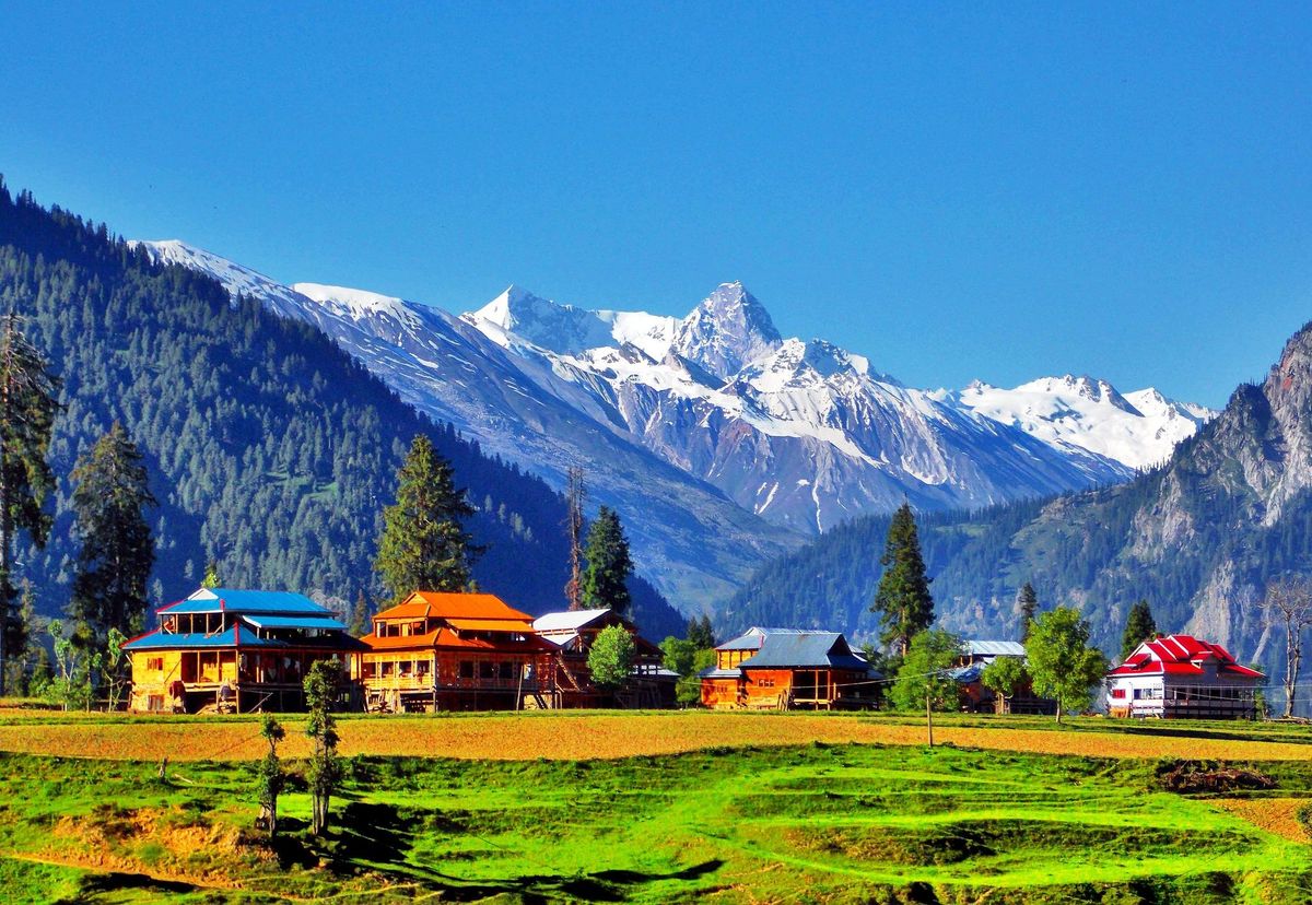 3 Day Kashmir Trip! (19-22 Dec, 2024)