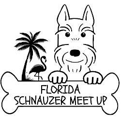 Florida Schnauzer Xmas Meet up