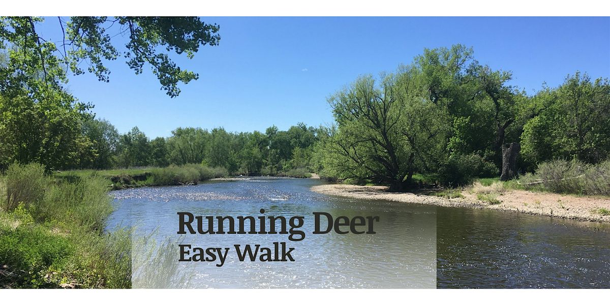 Walk Running Deer Natural Area (easy)