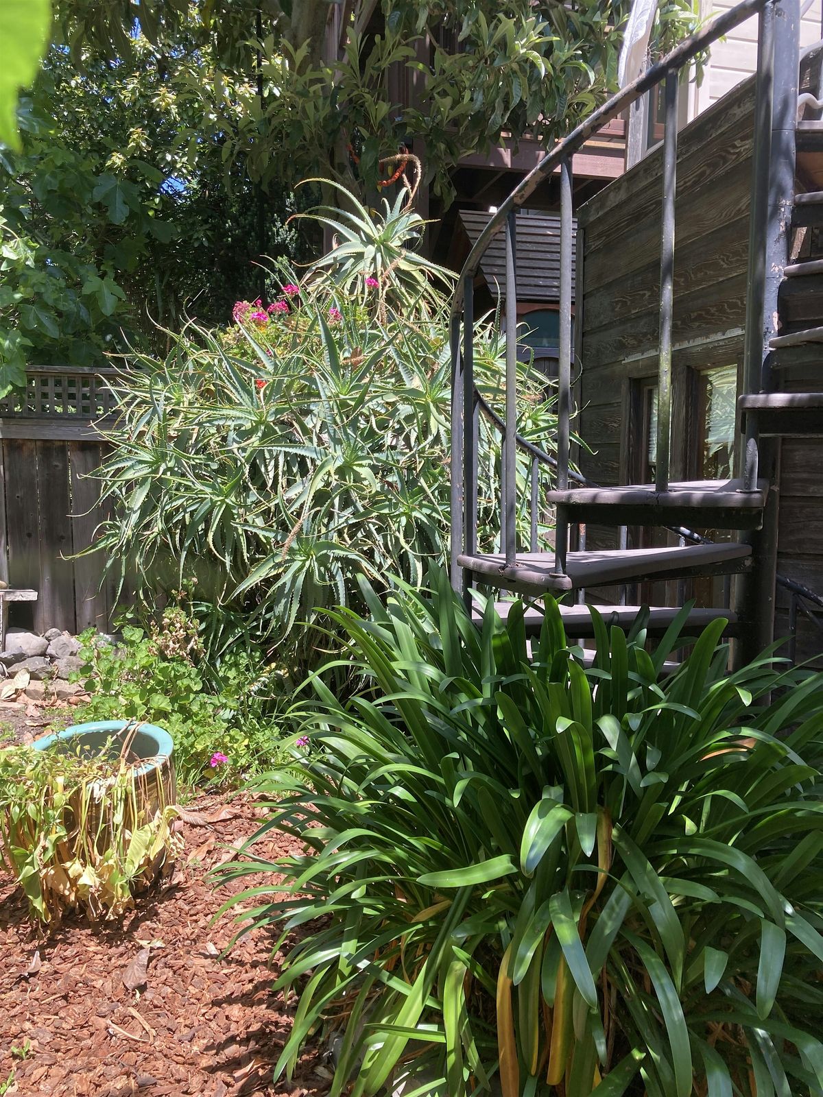 Way of Tantra: Embracing the body with Tantric practices