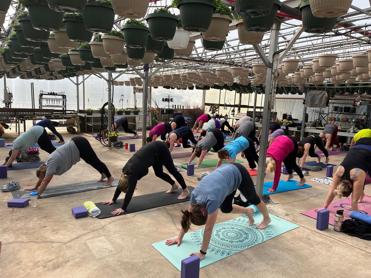 Yoga at Souba's Greenhouse