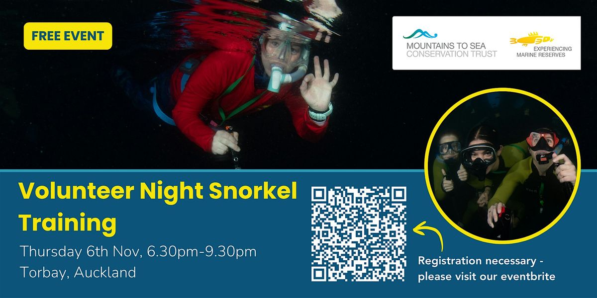 Auckland Volunteer Night Snorkel Training