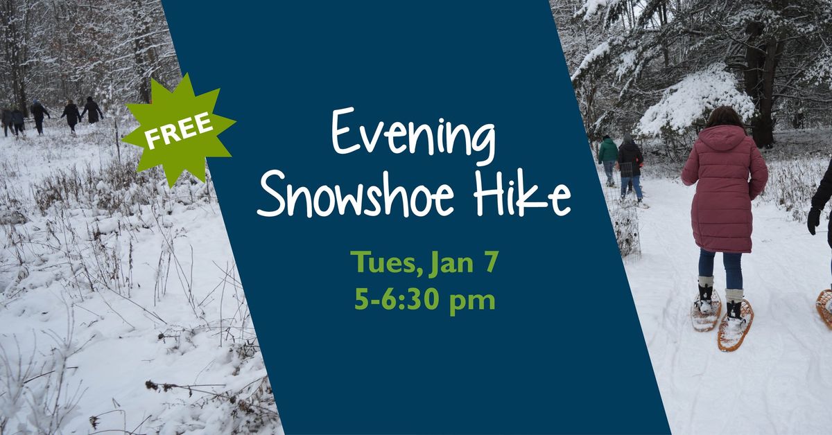 Evening Snowshoe Hike