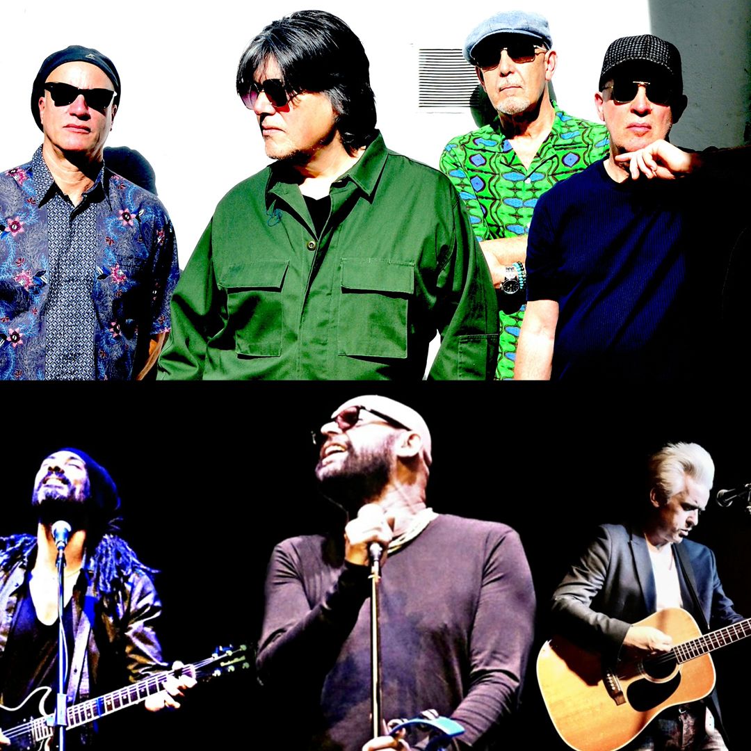 The Blow Monkeys at Philharmonic Hall