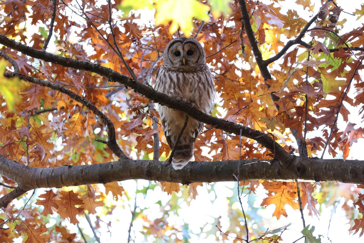 Nature Photography Hike