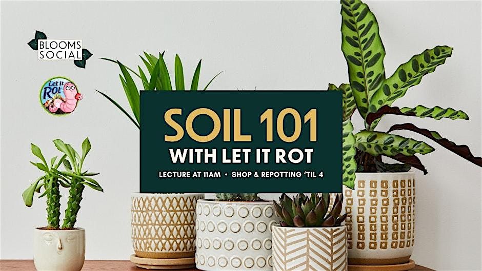 Soil 101 at Blooms Social