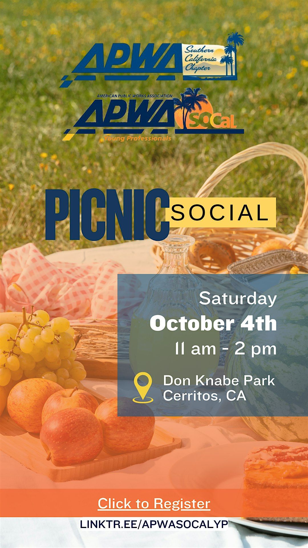 Picnic  Social and Board Meeting
