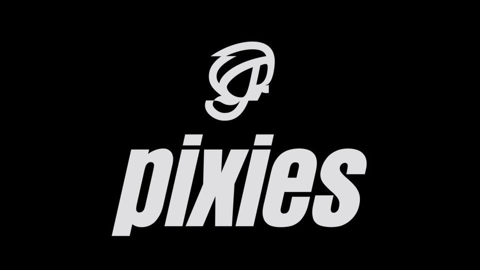 Pixies - Live at The Iveagh Gardens 2022