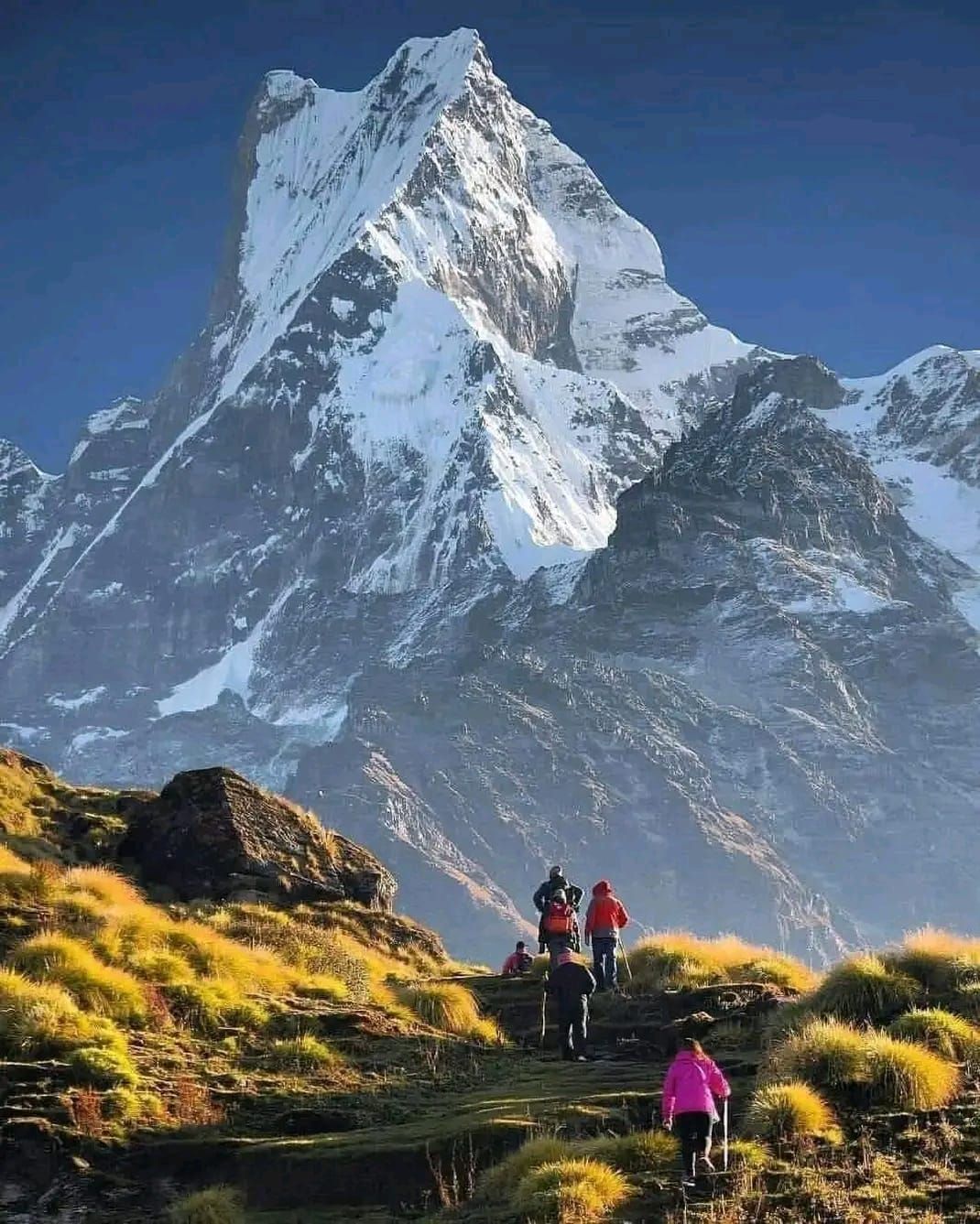 mardi himal treks.