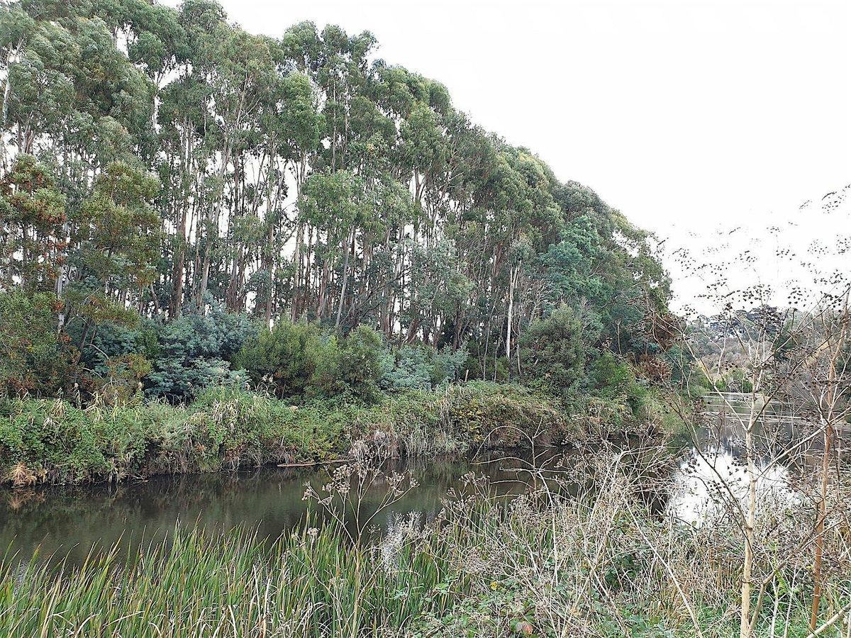 Campaspe River Walk