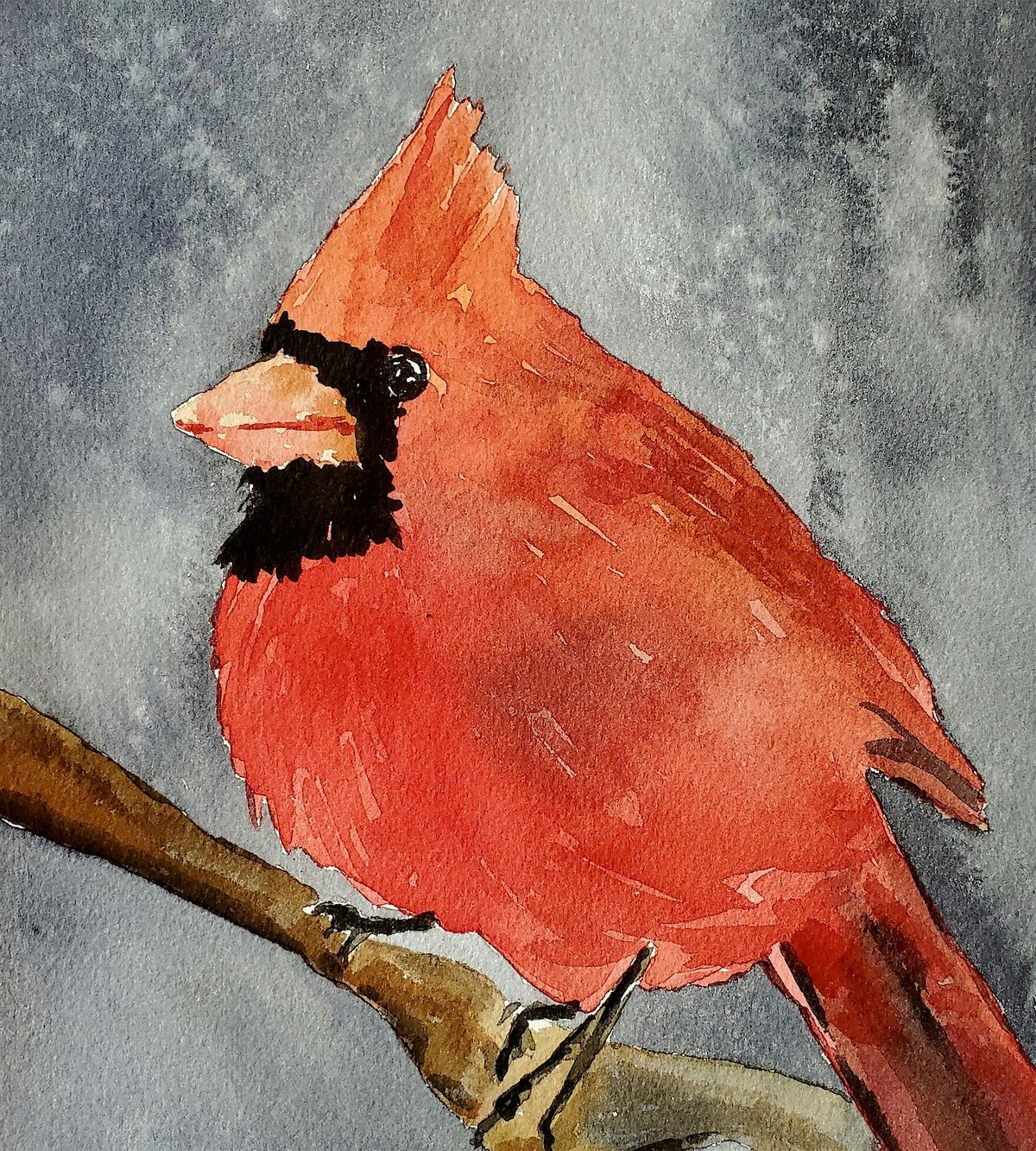 Watercolor For Beginners: Red Cardinal