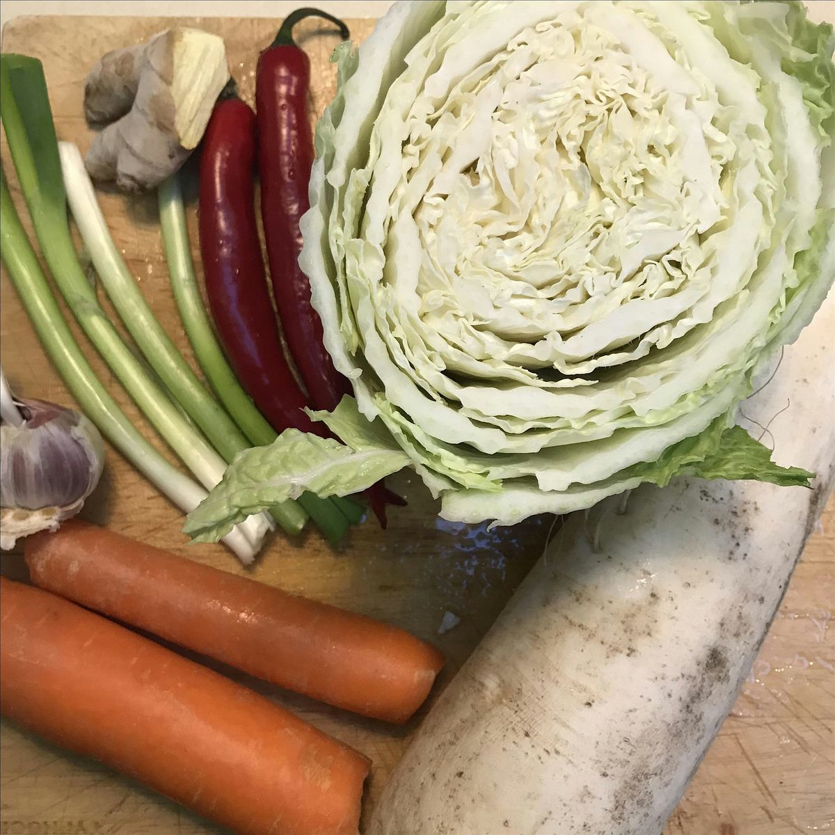 IN PERSON Fermentation Workshop: Kimchi & Kefir