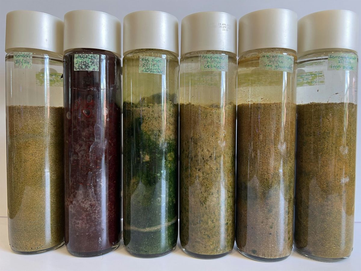 Making Winogradsky Columns - Mona Vale, Sydney