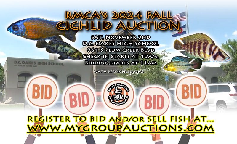 FALL 2024 CICHLID AUCTION