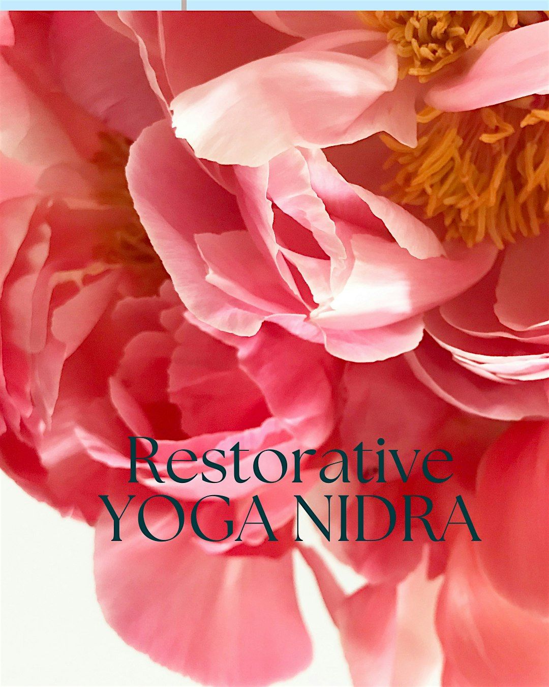 Deep Rest & Renewal: Restorative Yoga Nidra with Linda Herrmann