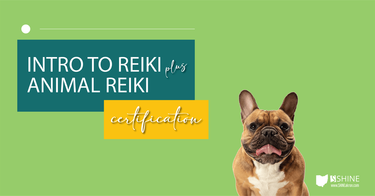 Intro to Reiki + Animal Reiki Combo training