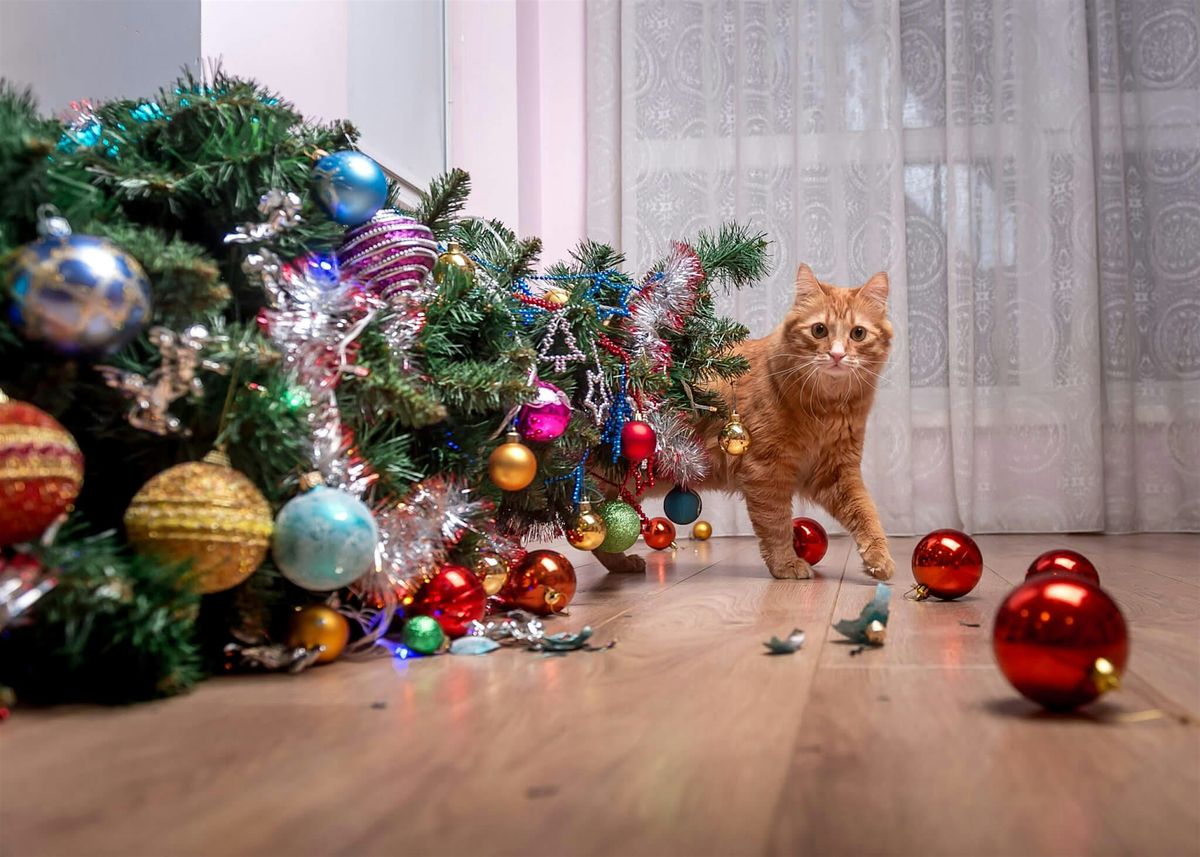 OK So, Tulsa Story Slam: HOLIDAY DISASTERS
