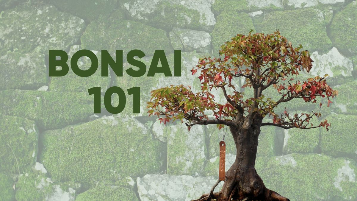 SOLD OUT Bonsai 101 Workshop