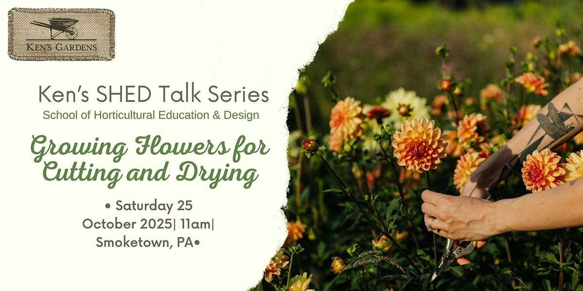 Ken's SHED Talk Series - Growing Flowers for Cutting and Drying