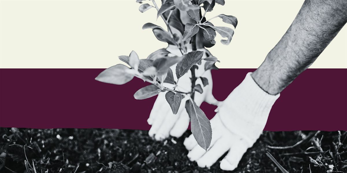 ONLINE Grounded Herbalism: Fighting Burnout + Despair w\/ Bioregional Herbs