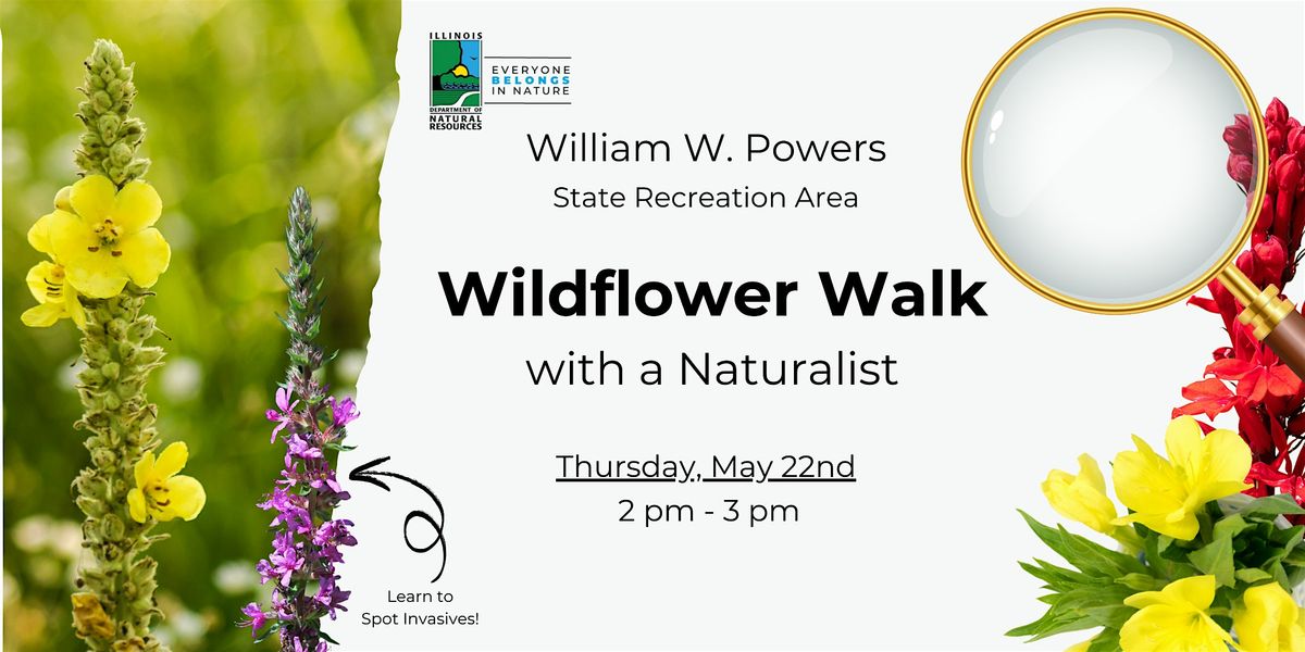Wildflower Walk (with a Naturalist)