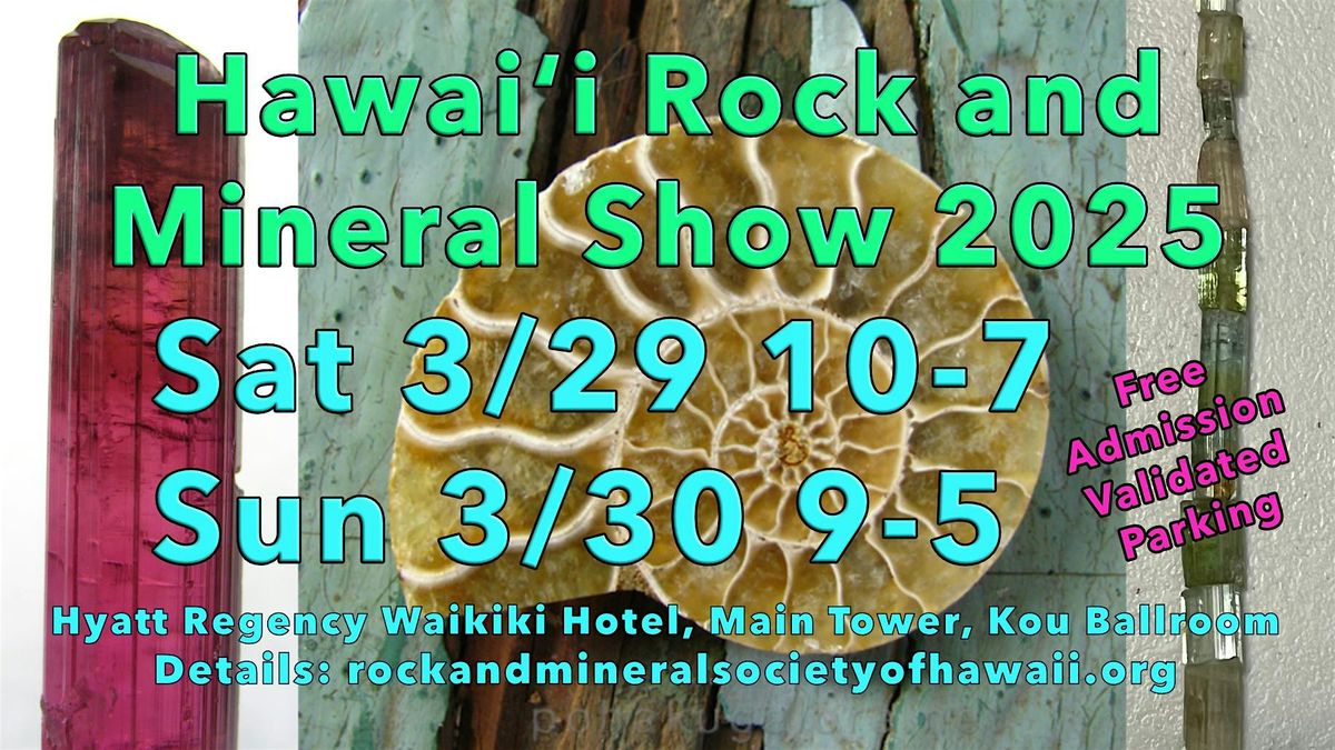 2nd day Hawaii Rock and Mineral Show Spring 2025